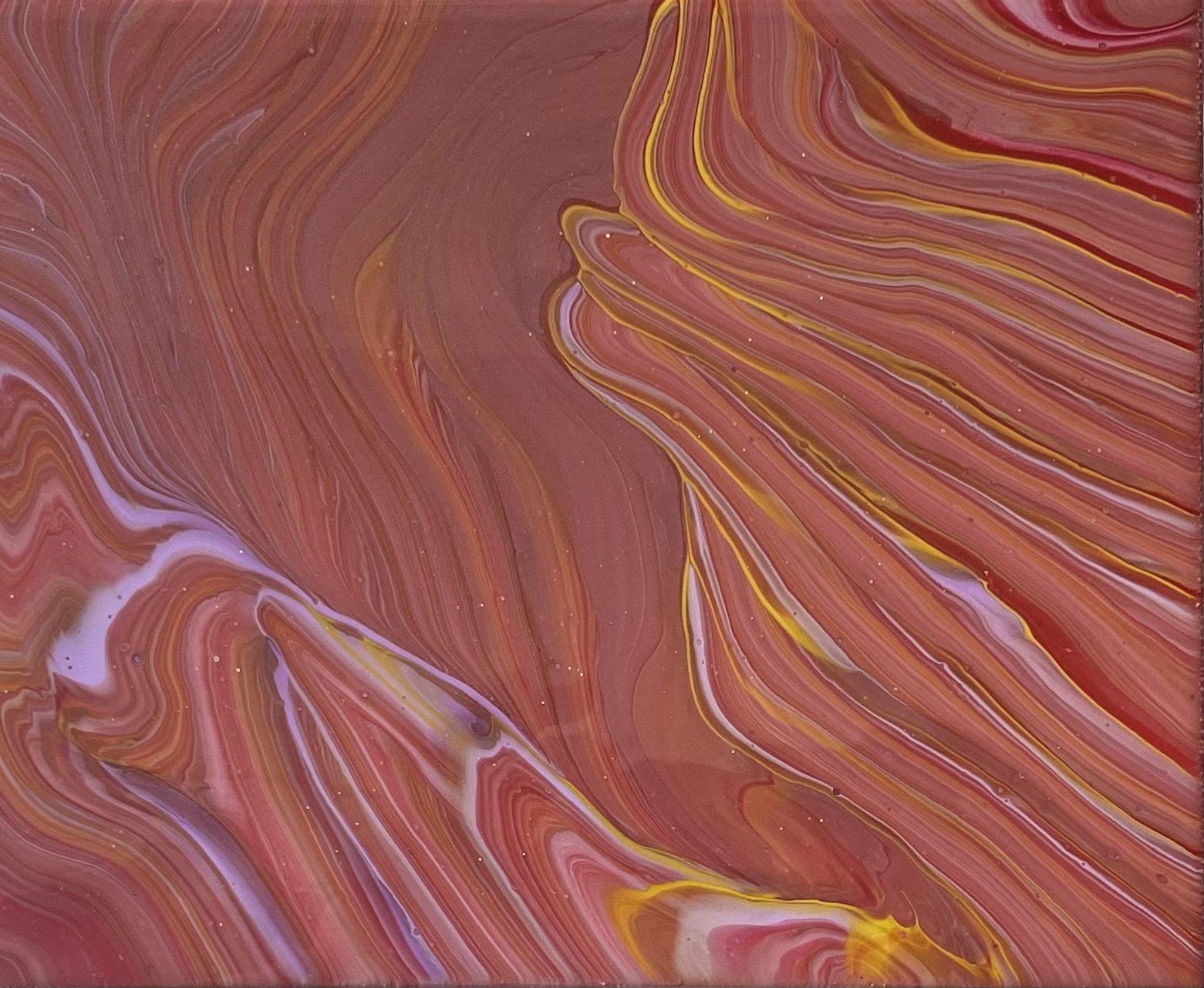 Plethora Lily (2022)