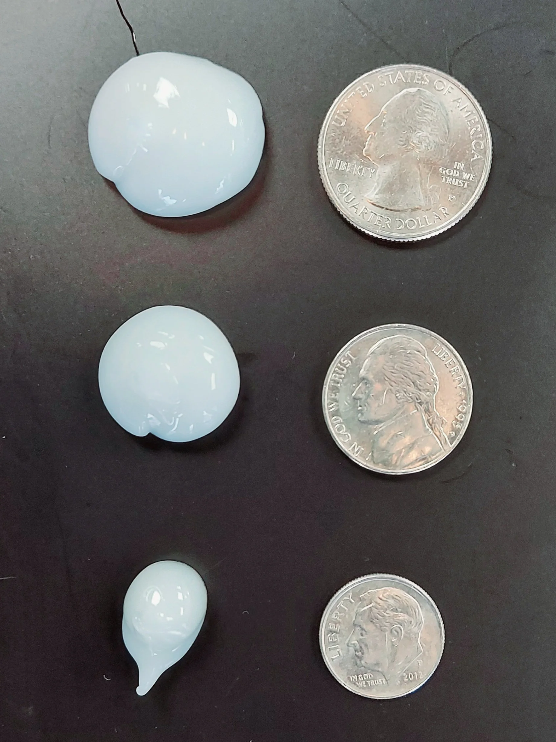 Three white seashells of different sizes placed next to US quarter coins on a dark surface.