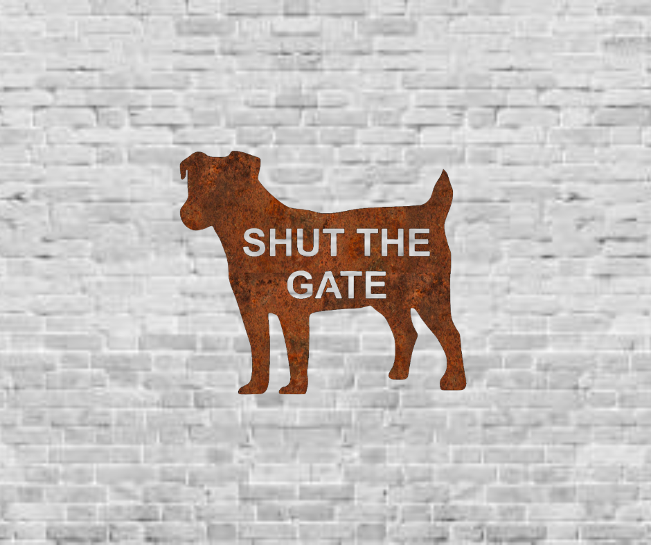 11.png