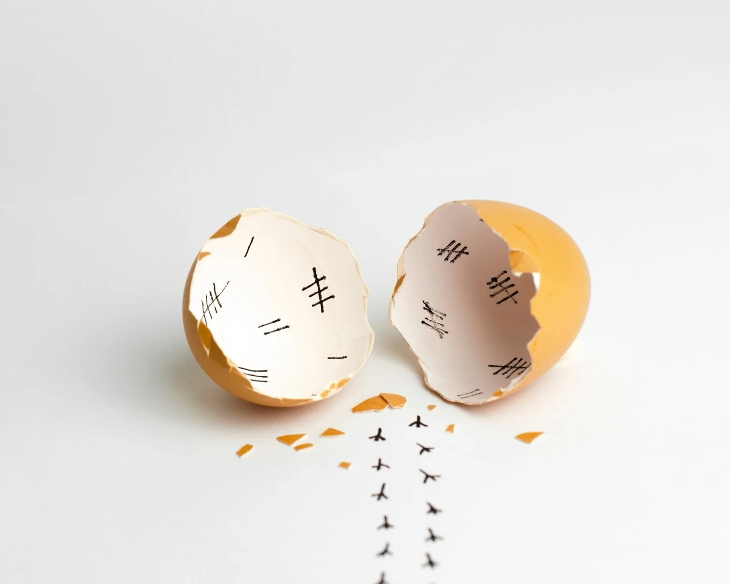 Your Menstrual Cycle: Ovulation