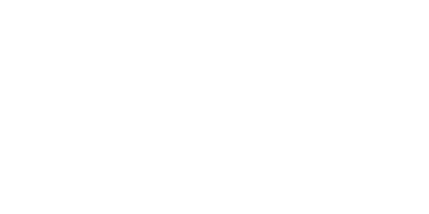 Winter Wonderland Honolulu