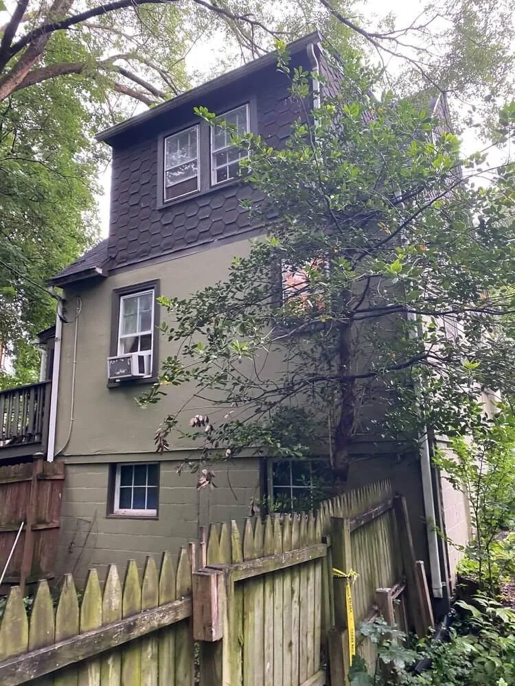 faye before back.jpg