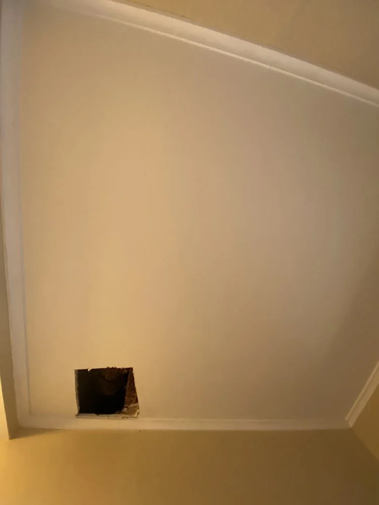 ceiling repair before.jpg