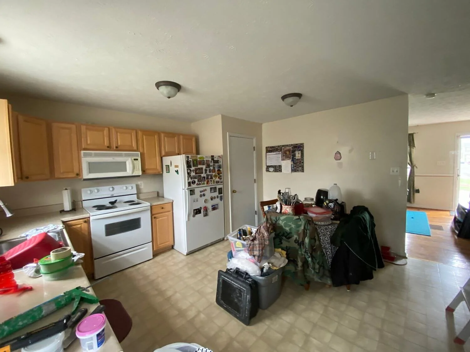 repaint kitchen before.jpeg