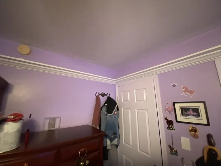 display shelf after 2.jpg