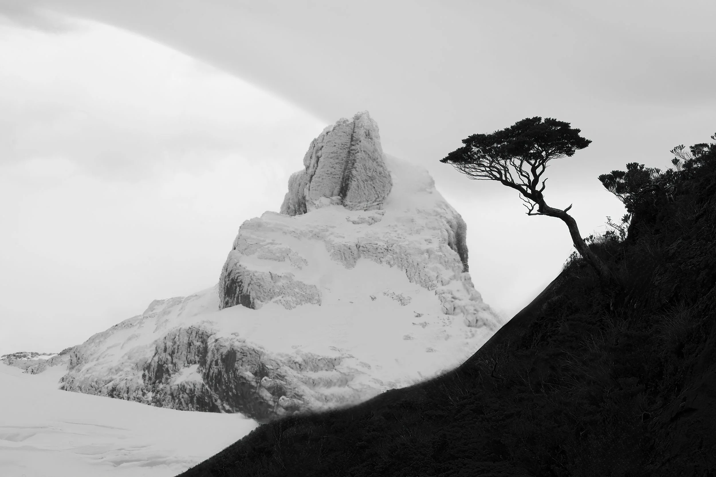 A black and white landscape showing a snow-covered mountain with a rugged peak and a tilted tree on a dark hillside.