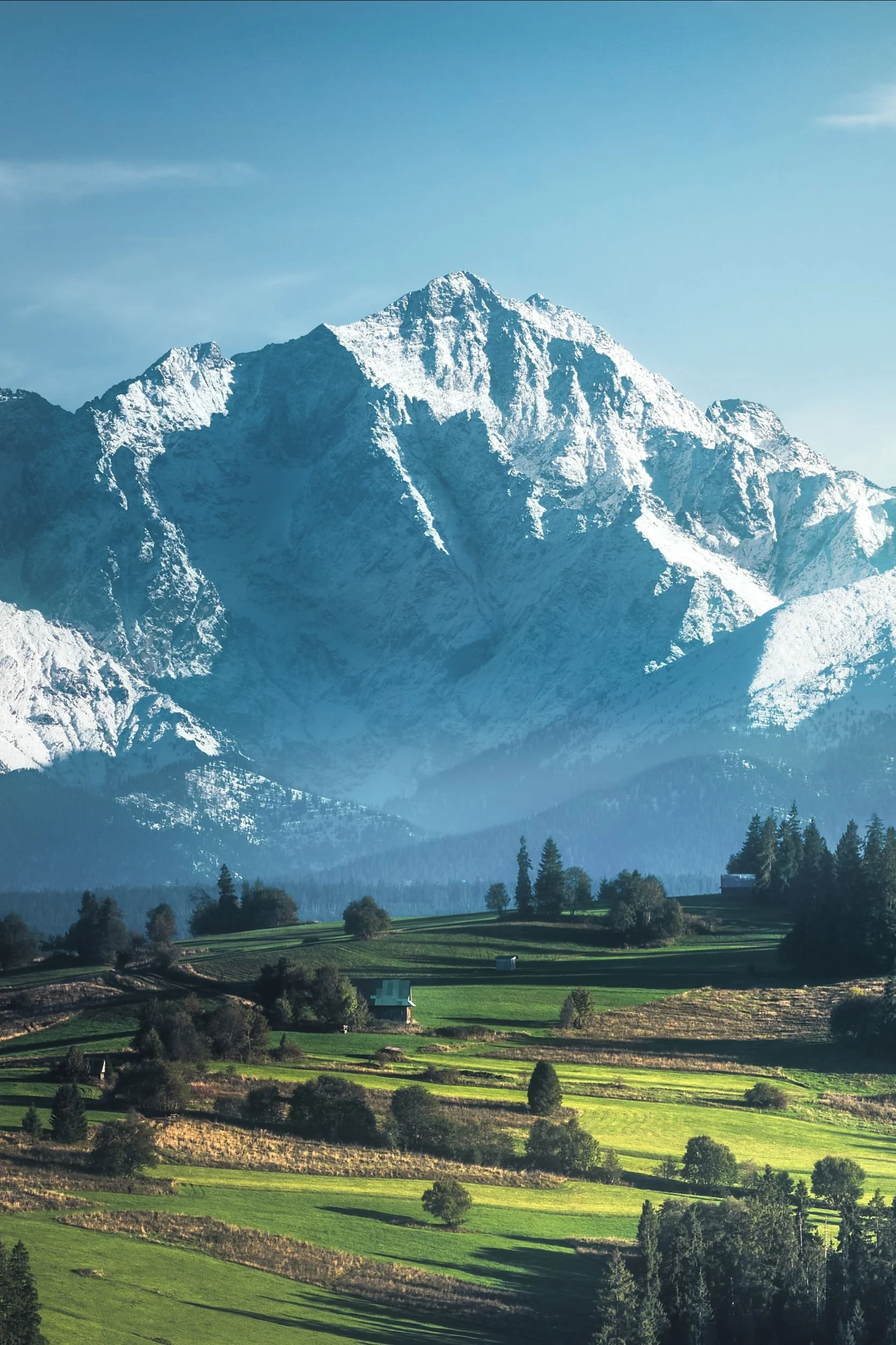 Snow-capped mountain range with green fields and trees in the foreground.