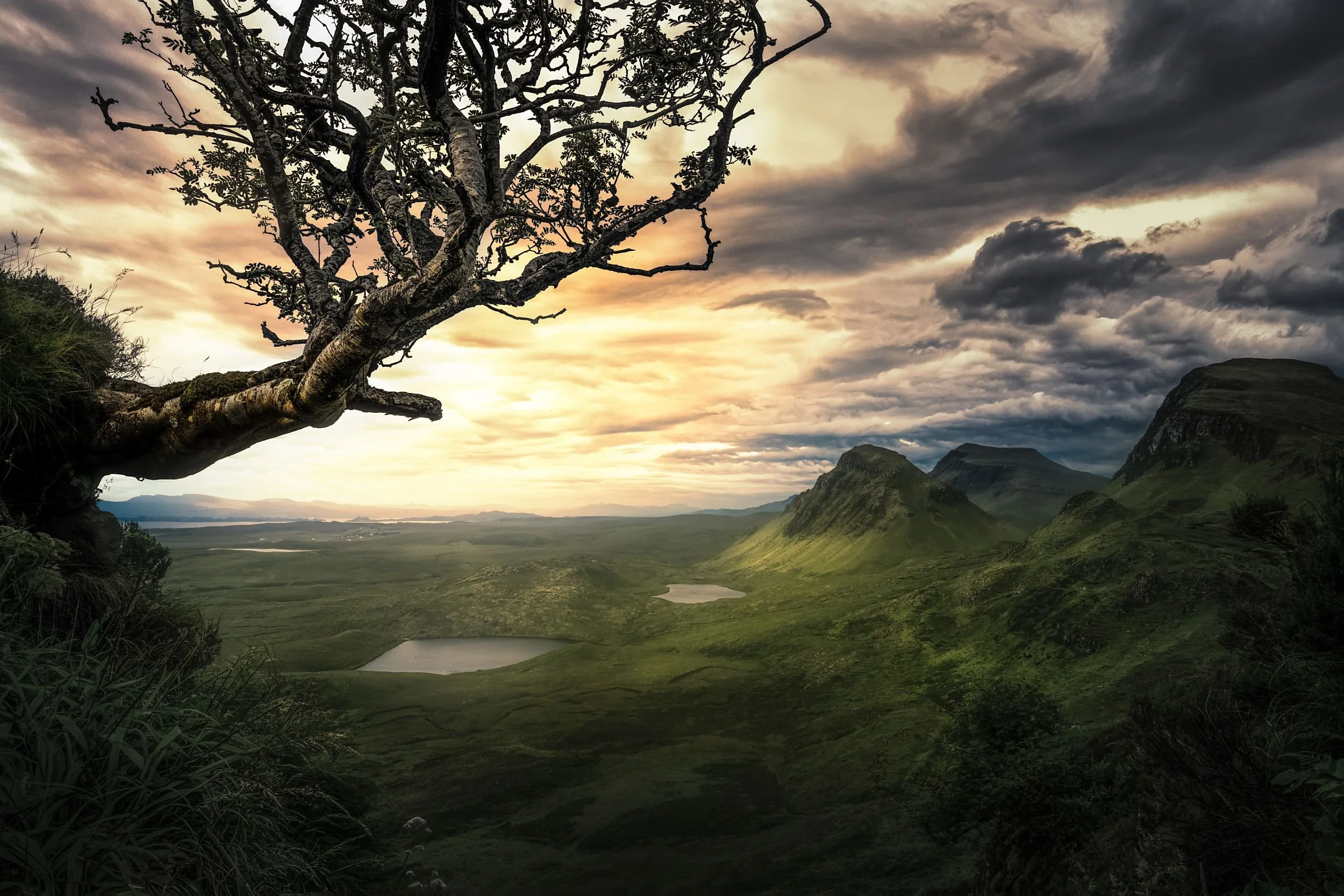 A landscape with a twisted tree in the foreground on the left, rolling green hills, small lakes, and mountains under a dramatic cloudy sky at sunset or sunrise.