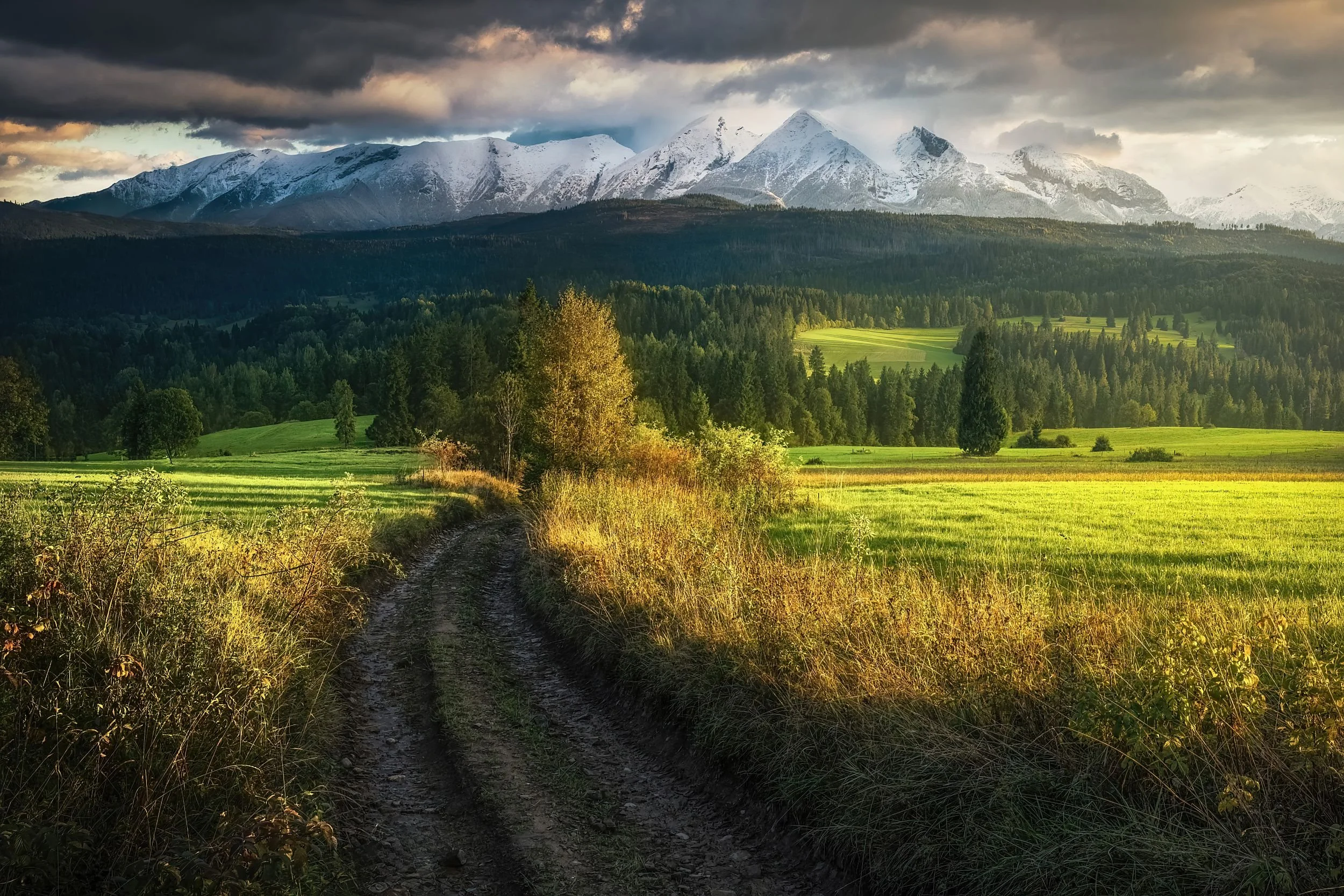 A dirt path runs through a grassy field with trees, leading towards forested hills and snow-capped mountains under a dramatic cloudy sky at sunset.