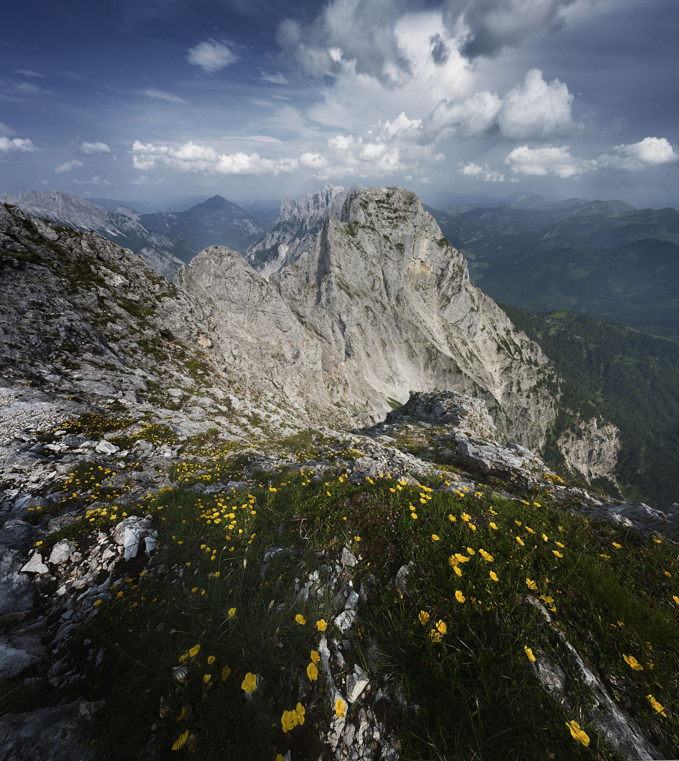 Reichenstein.jpg