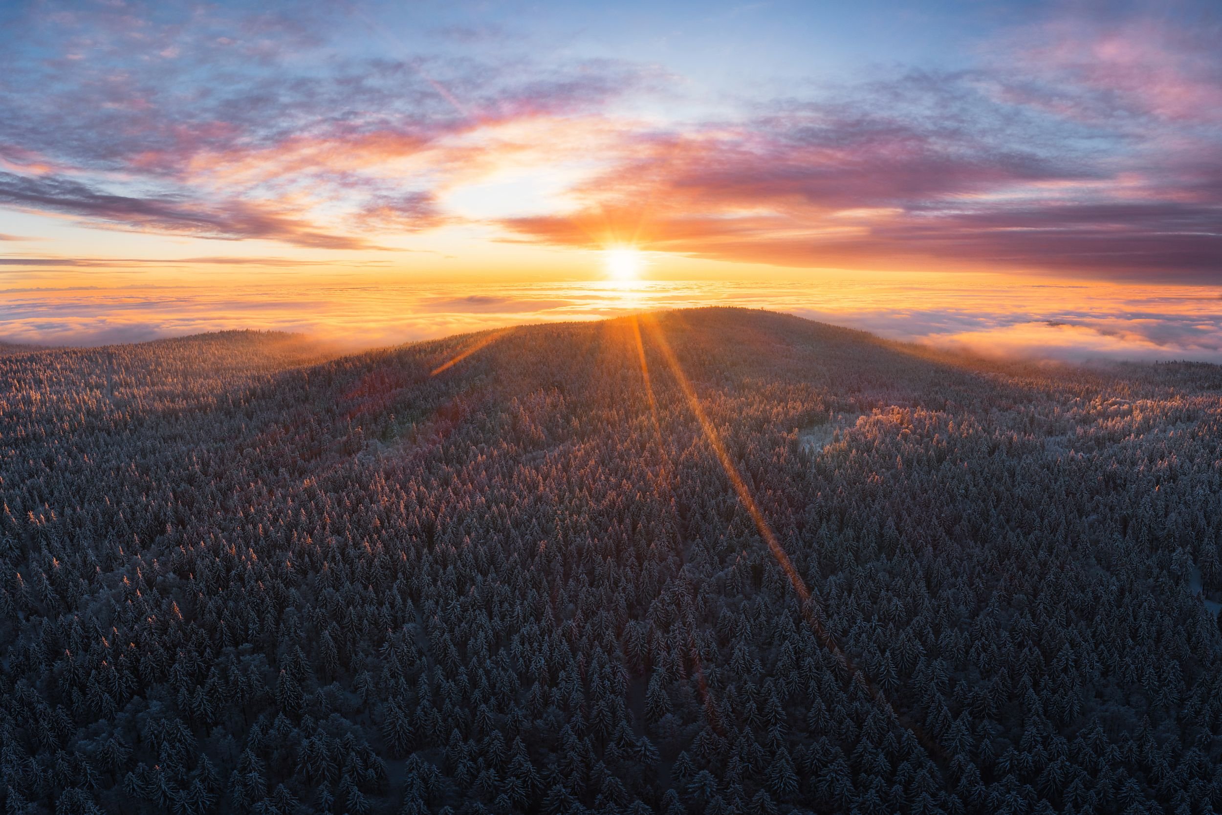 Sunrise over a snowy winter forest with colorful clouds in the sky.