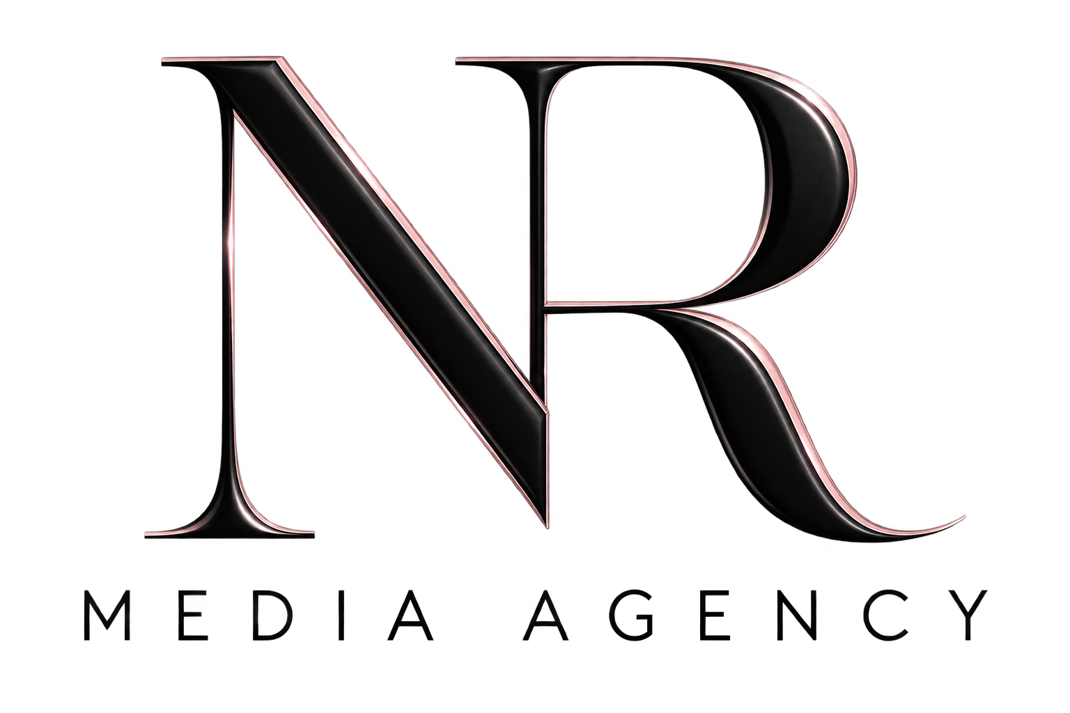 The Netflix logo featuring a large black letter 'N' with red and silver accents.