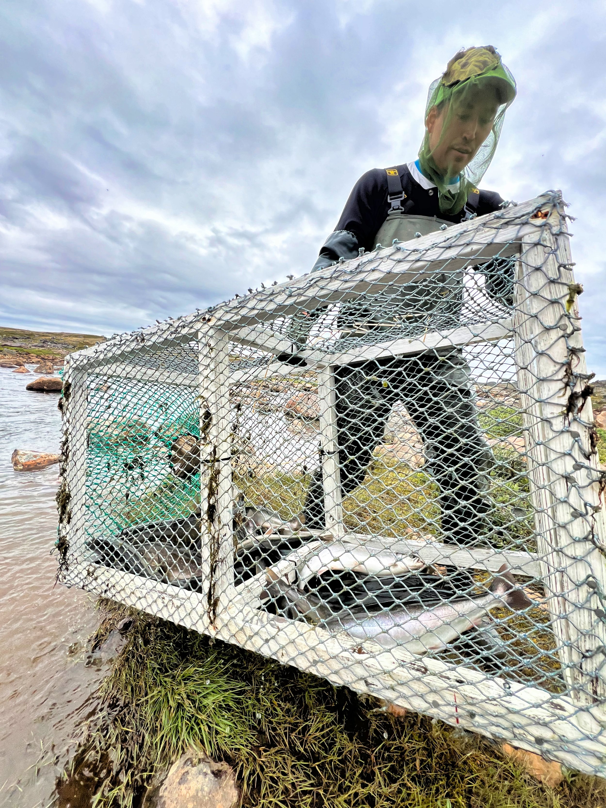 FishTrap.jpeg