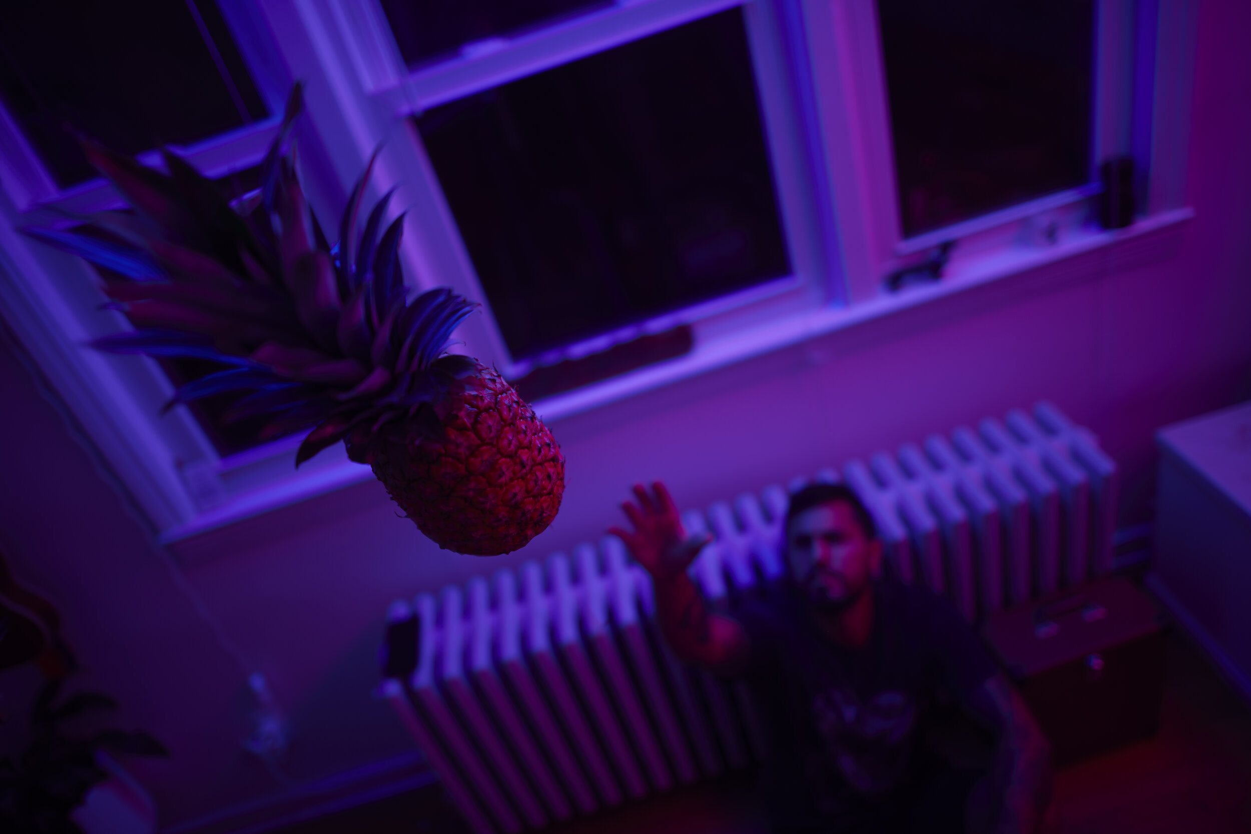 Pinapplecatch.jpg