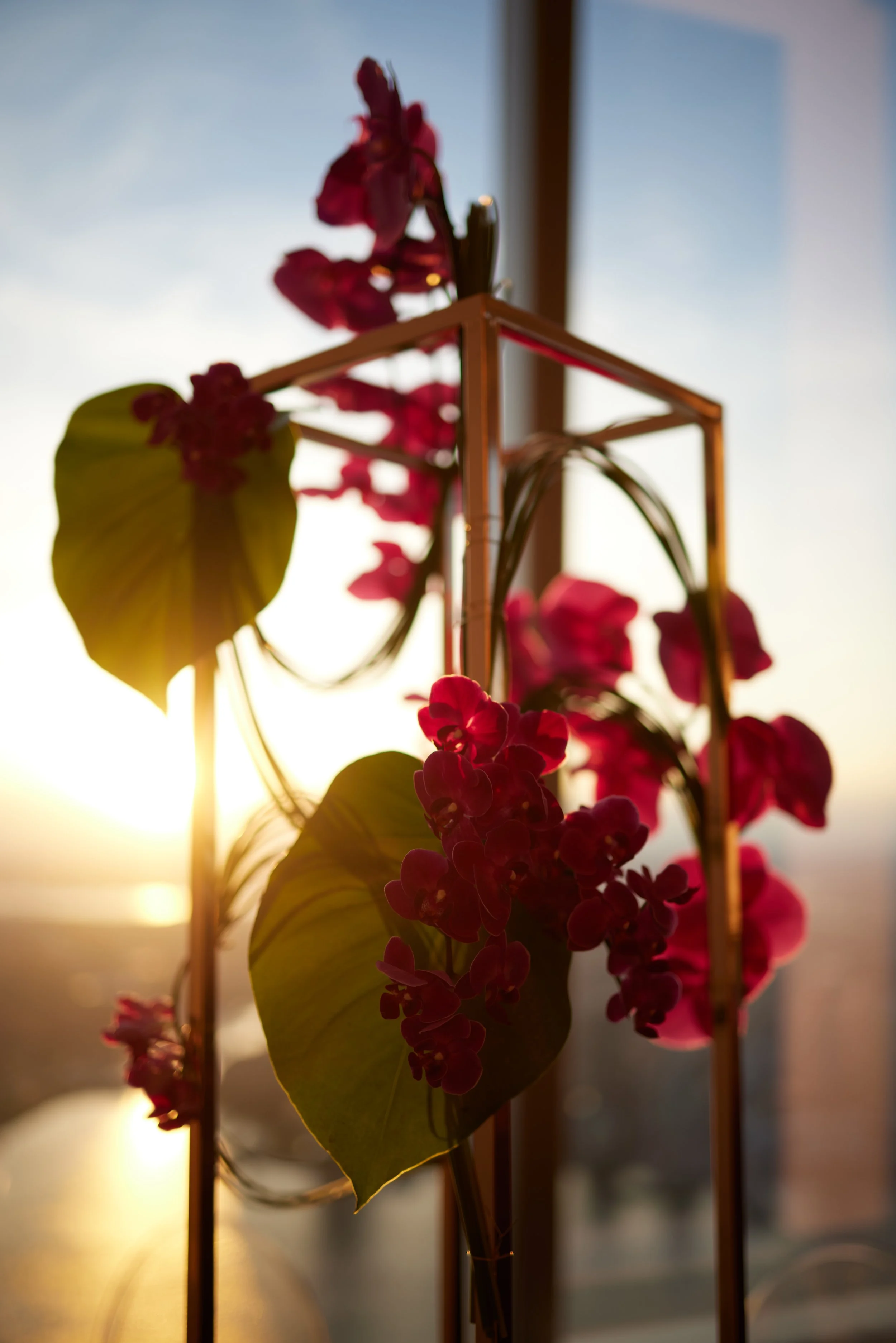 1WTC_Botanica_21_765.jpg