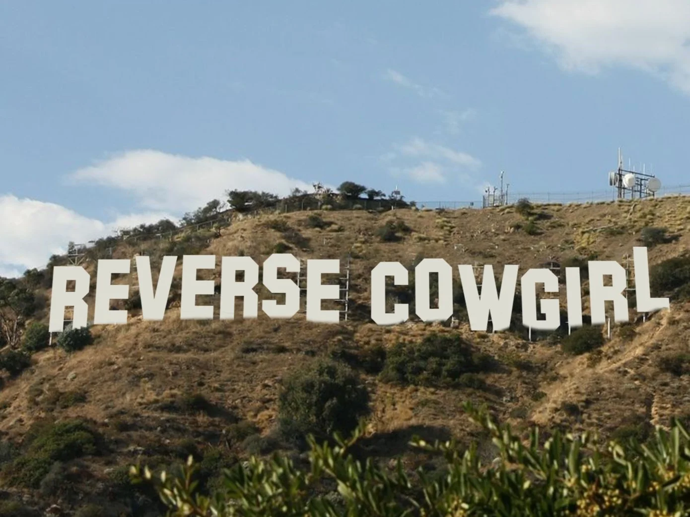 Reverse Cowgirl