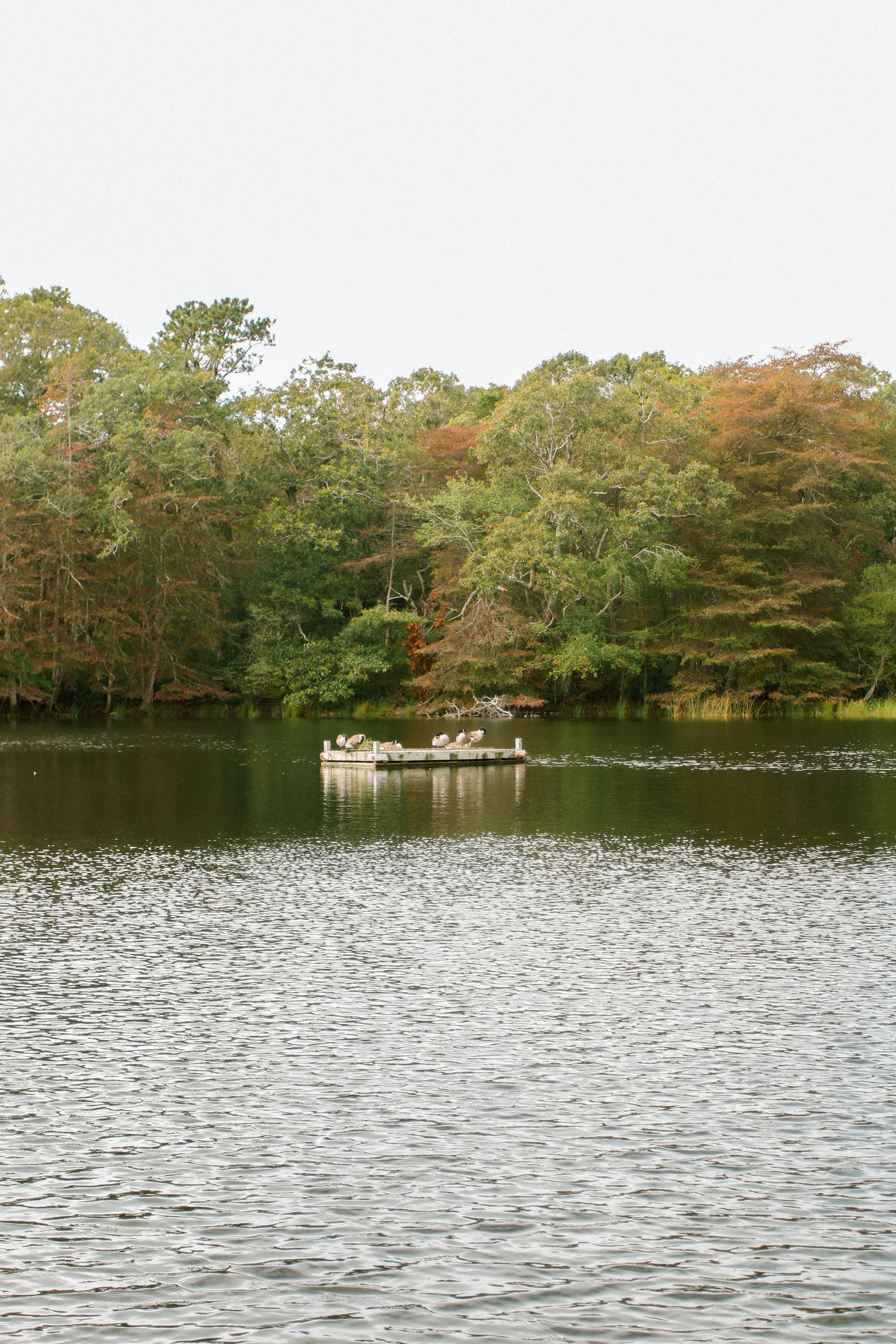 IMG_9146 copy.jpg