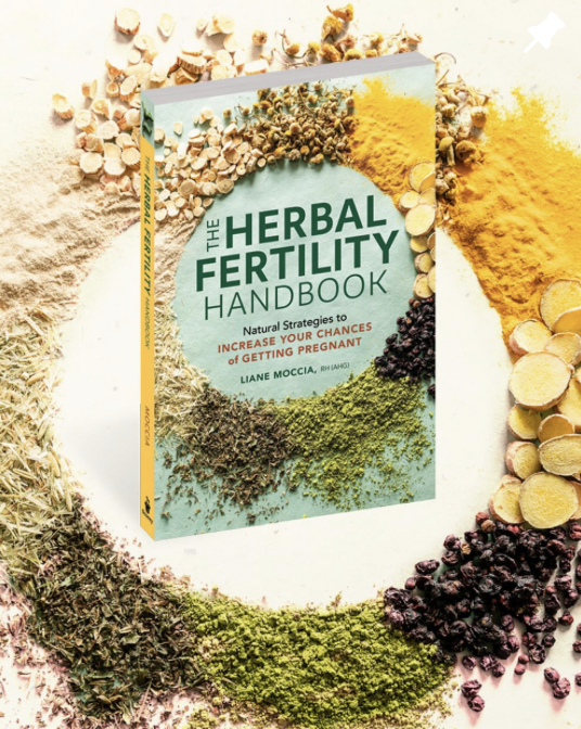 Natural strategies to increase your chances of getting pregnant