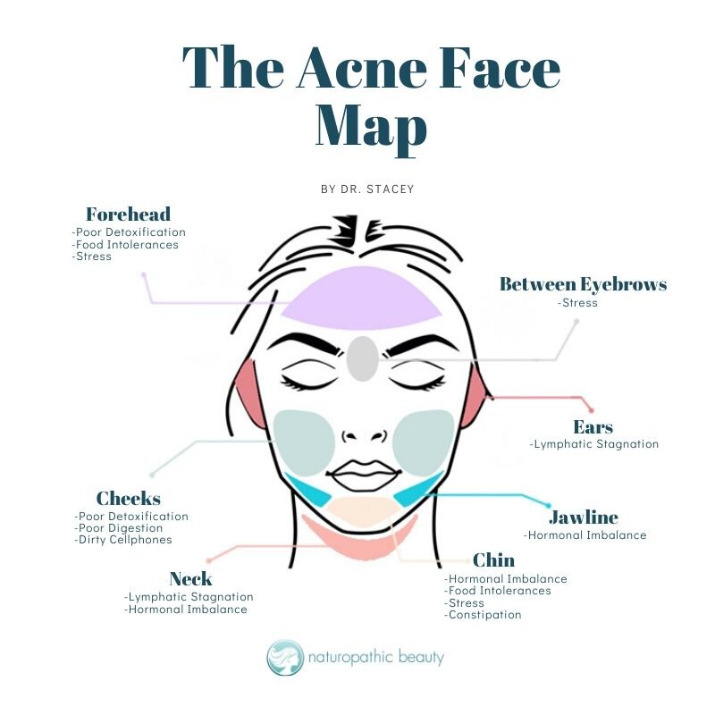 Face Mapping for Beginners | Aloe Curves — AloeCurves