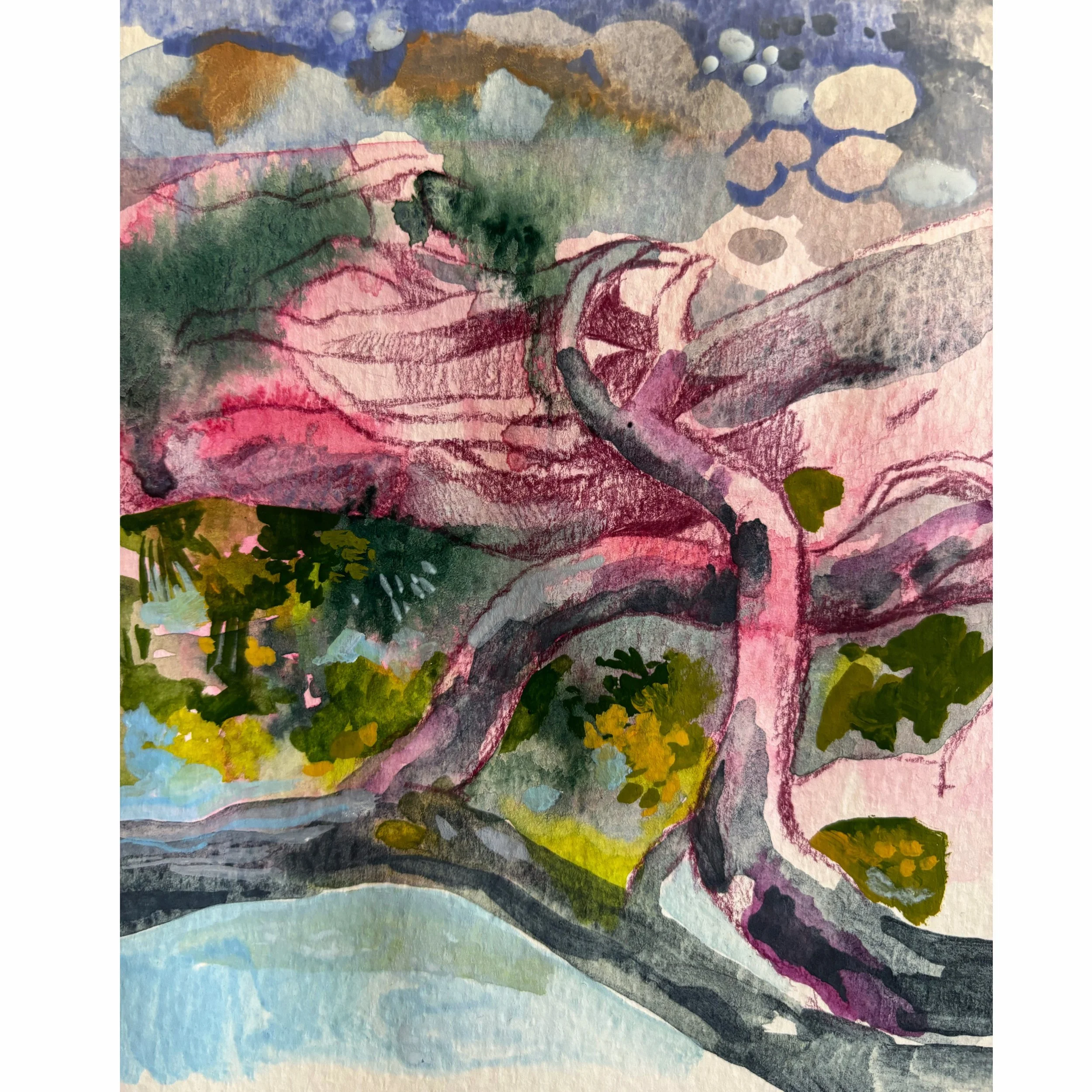 86AE92CA-8855-4993-A2A9-0476DE062C41 2.JPG