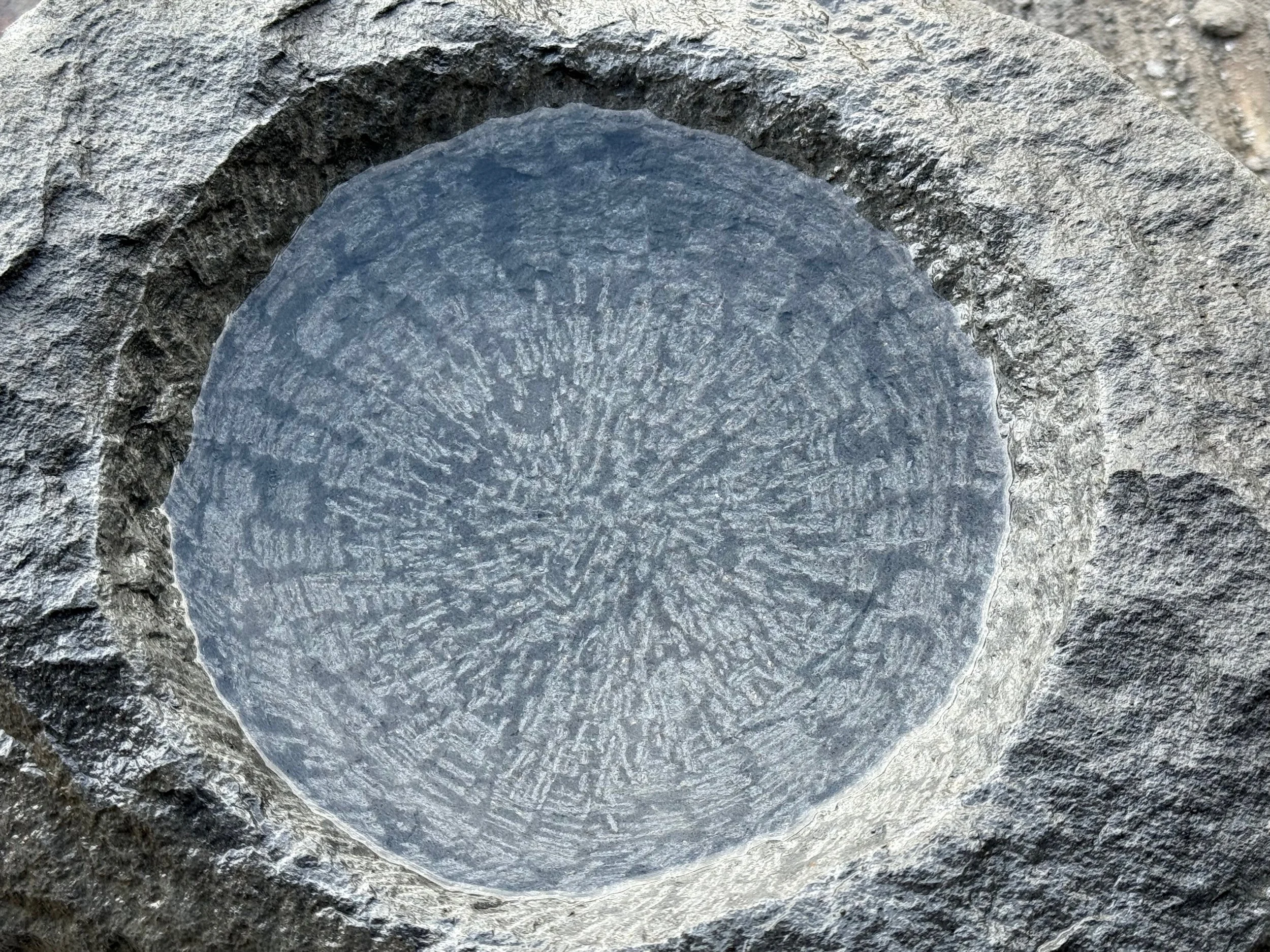 FullSizeRender (1).jpeg