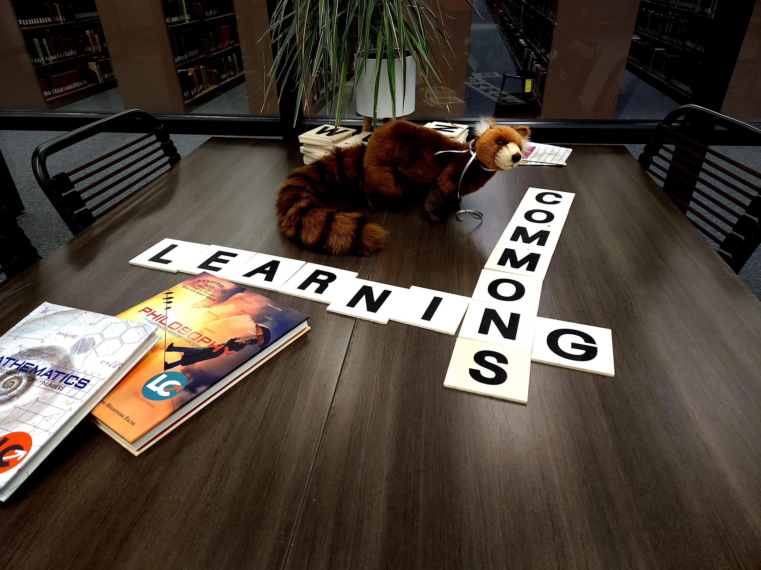 The New Learning Commons