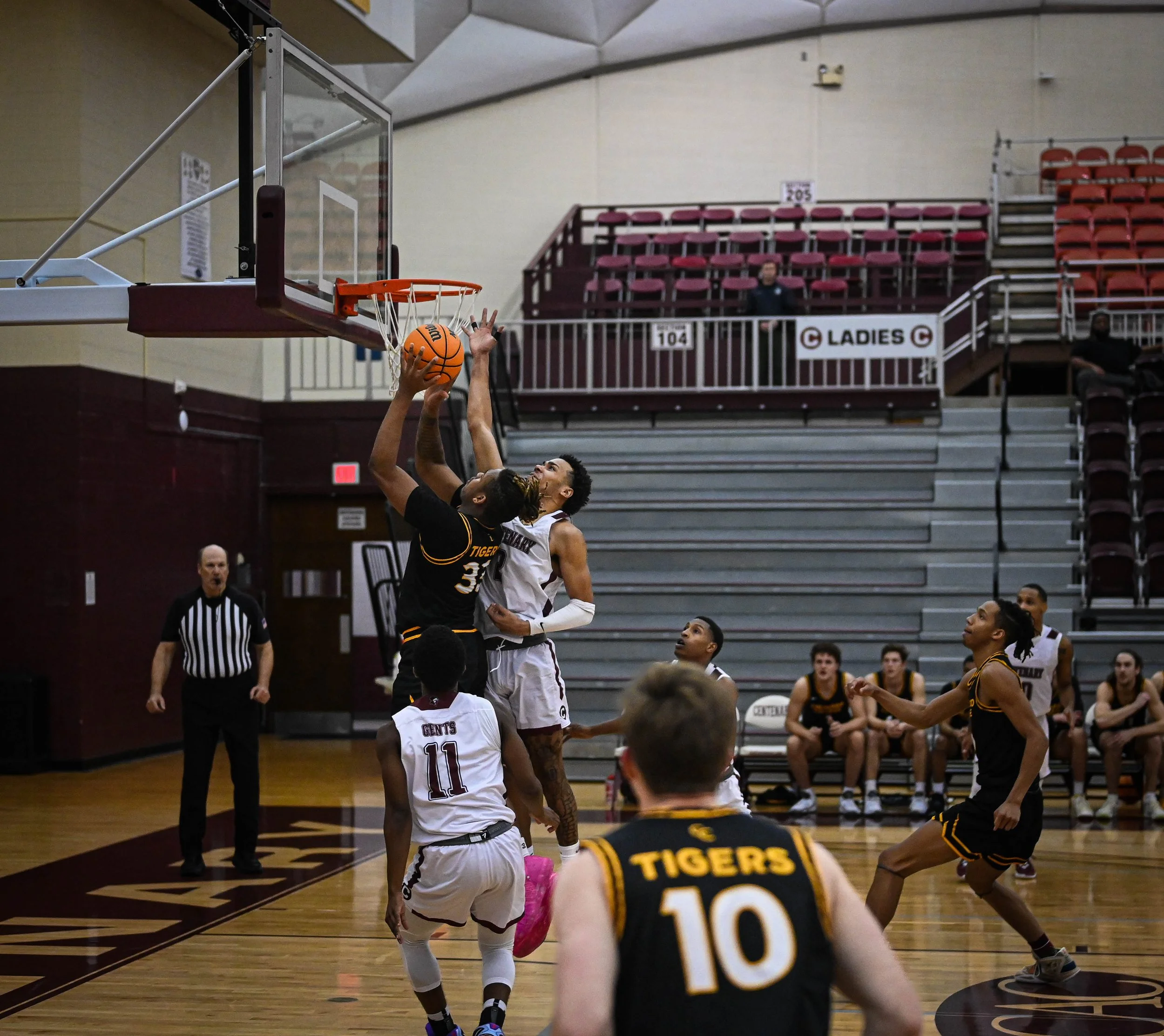 DSC_2687.jpg