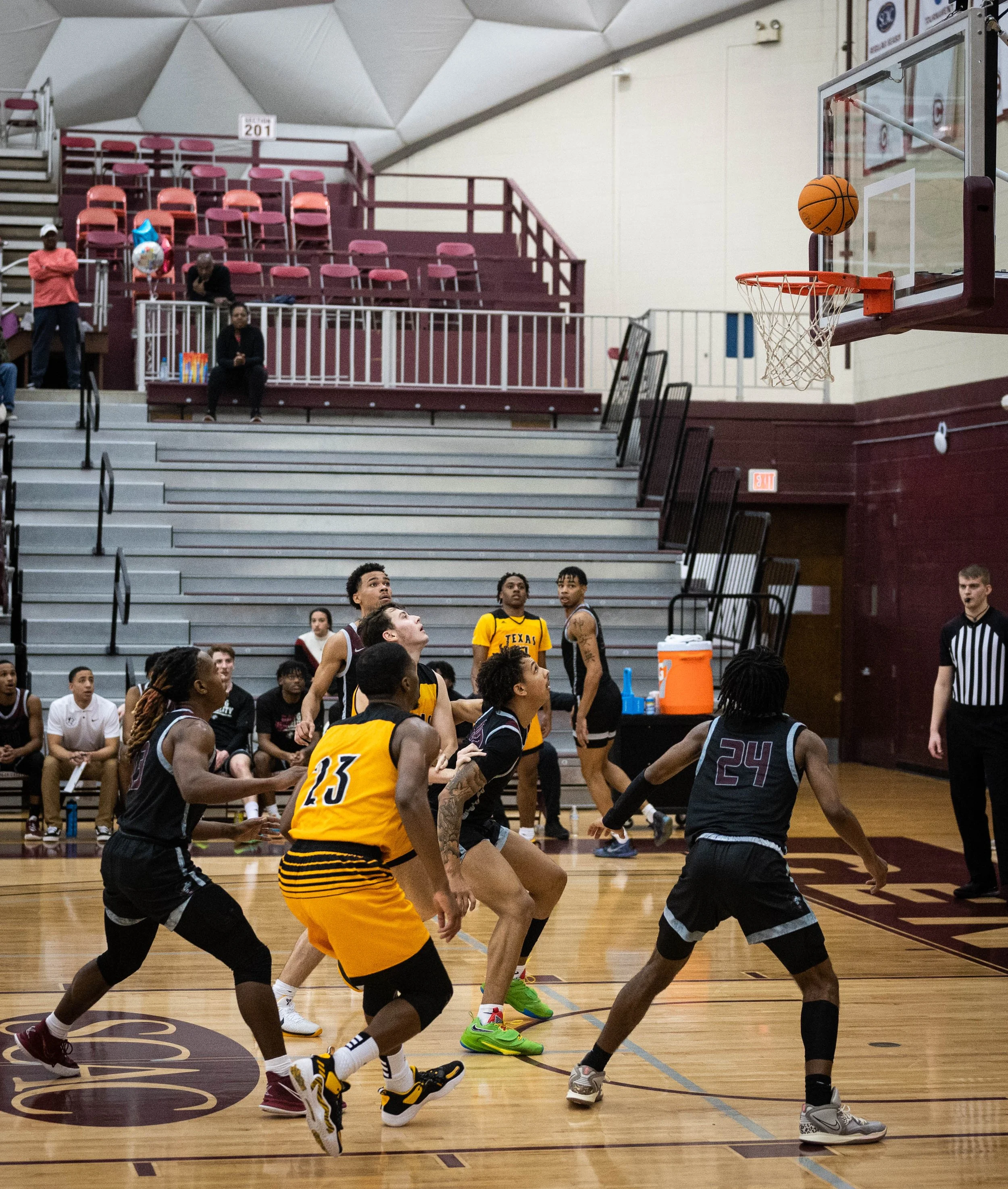 DSC_6382.jpg