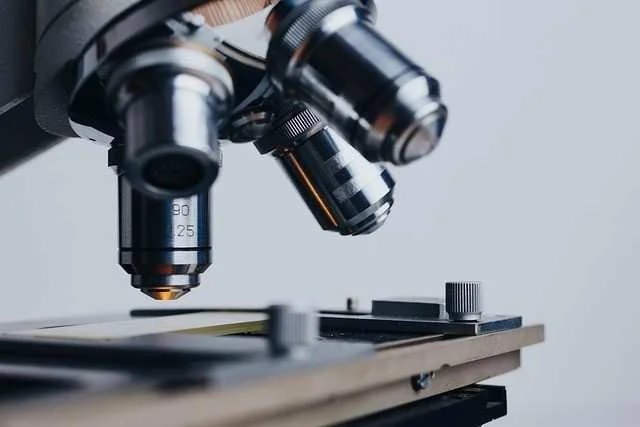 Organization Highlight: Women in STEM