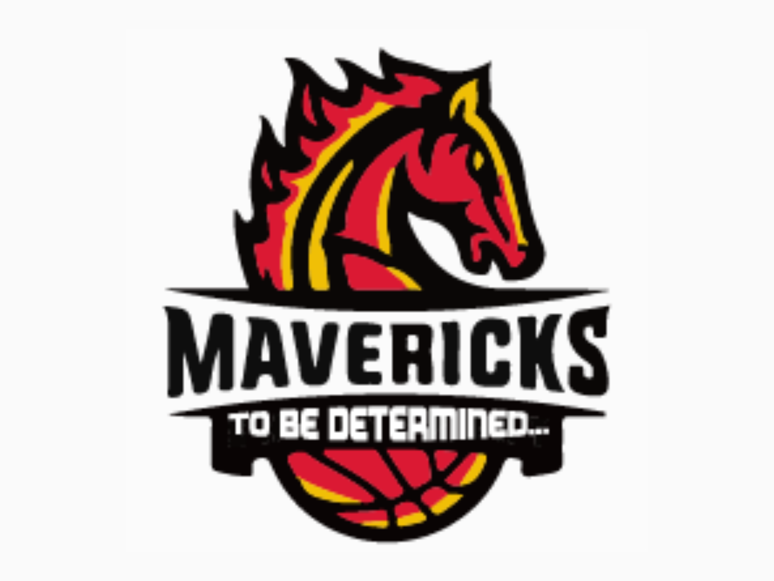 The Mavs have Something to Prove