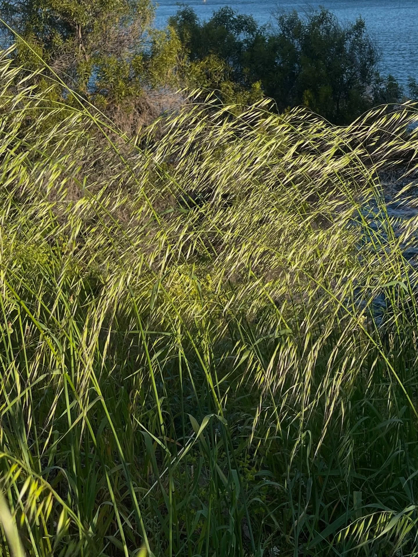 Another fruityloop week 🎃