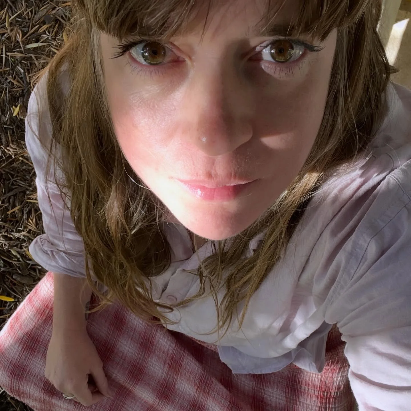 Just sitting in an olive grove, feeling oddly calm. It&rsquo;s been a while. 🫒🫒🫒