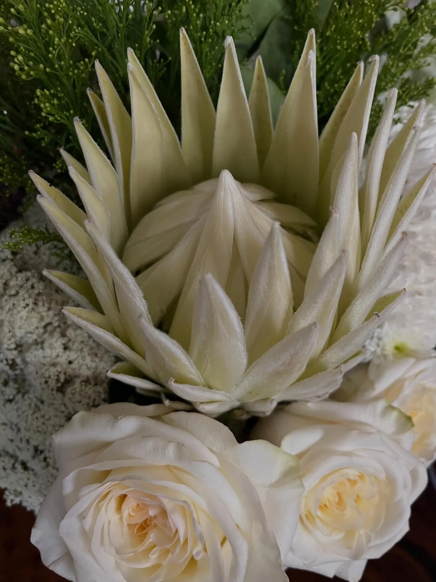 Full but sweet week 🥰