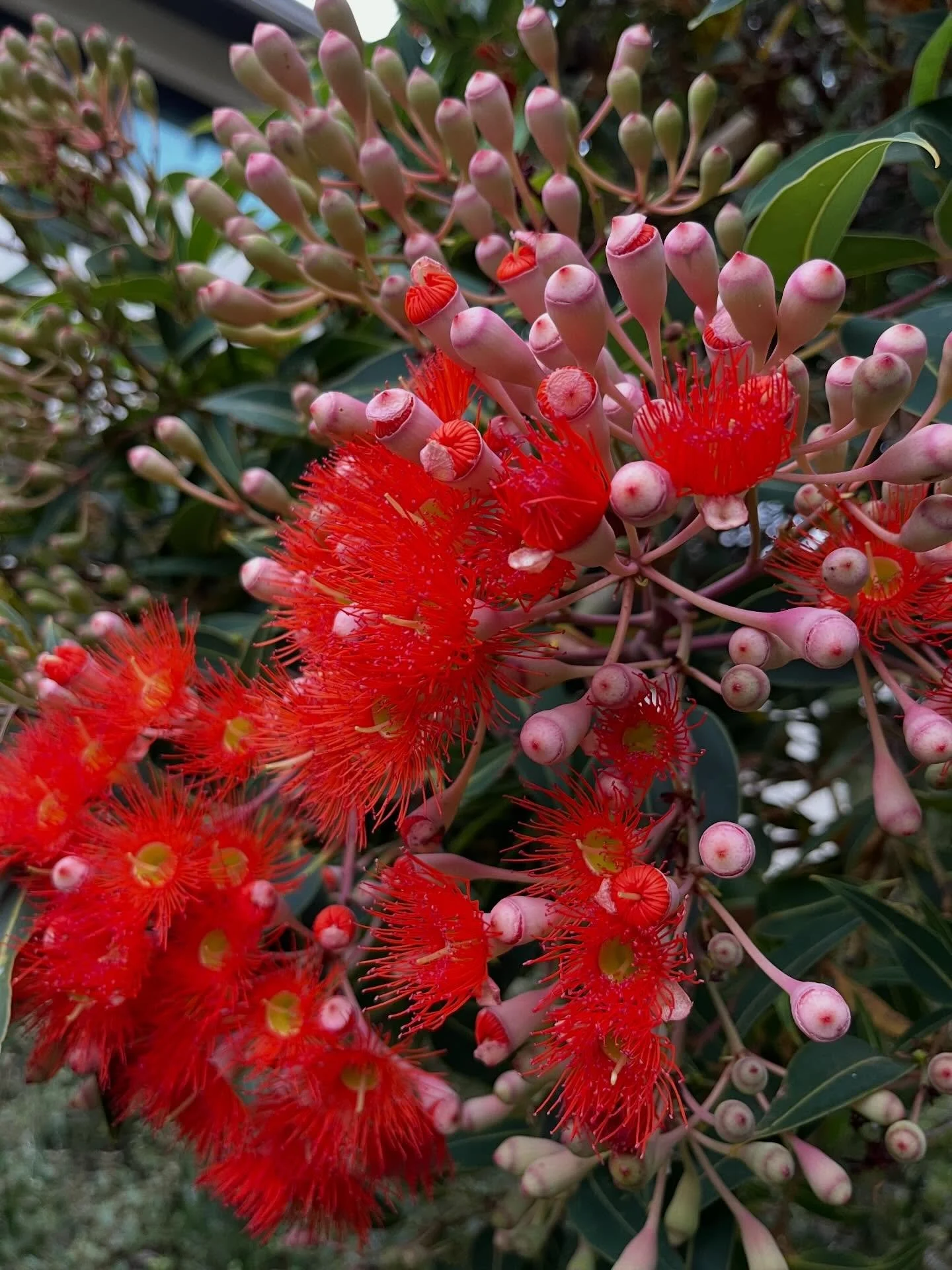 January daze 🌞(from which I now need to wake up!)