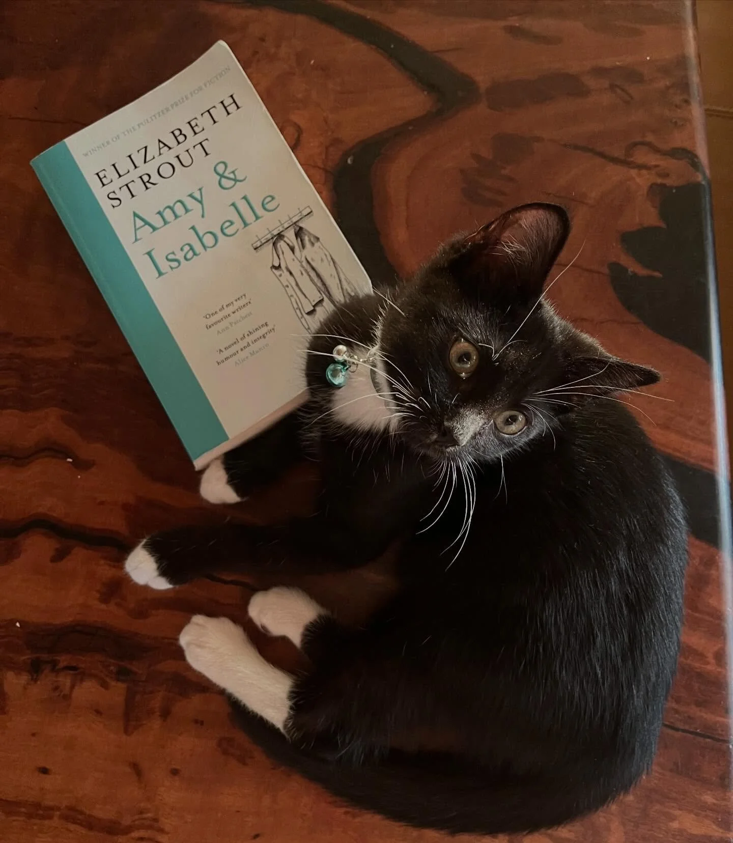 Layer upon layer of meaning, quietly and carefully constructed through perfect sentences and startling clarity. I&rsquo;d forgotten just how exceptional Strout&rsquo;s writing is. ❤️