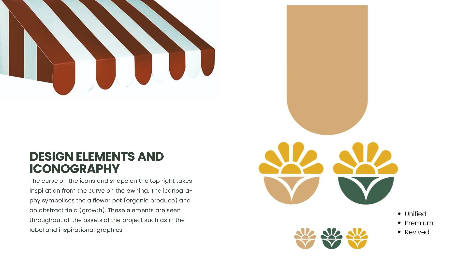 Anvi Karandikar_SPROUTSFarmersMarketRebrand_PROCESS_Page_14.jpg