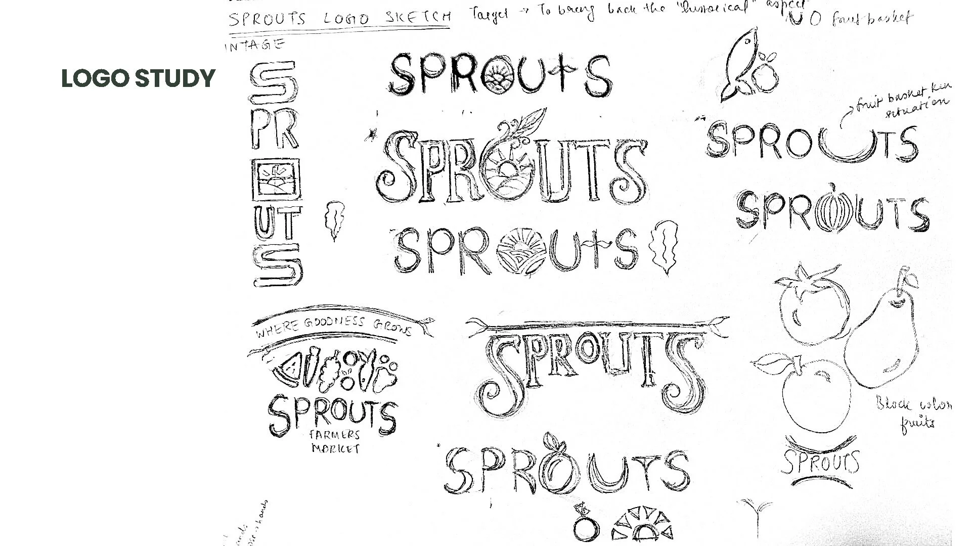 Anvi Karandikar_SPROUTSFarmersMarketRebrand_PROCESS_Page_10.jpg