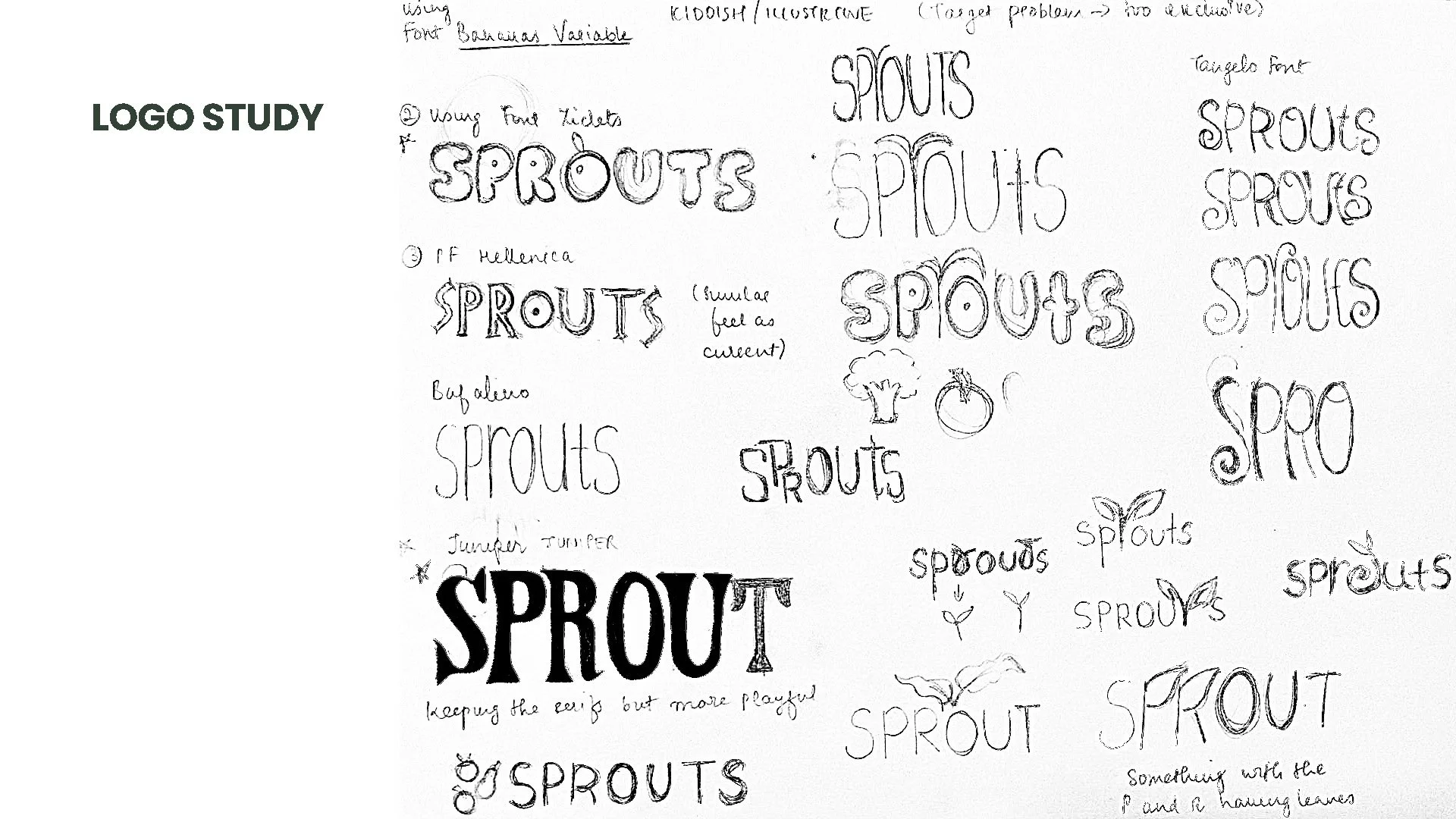 Anvi Karandikar_SPROUTSFarmersMarketRebrand_PROCESS_Page_11.jpg
