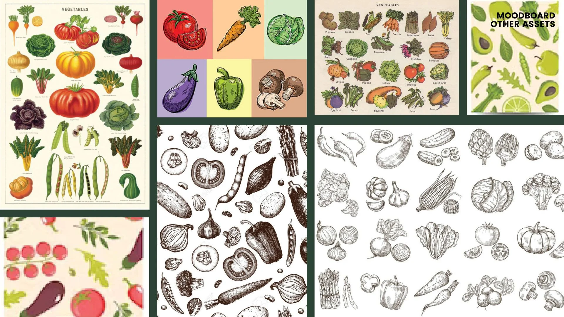 Anvi Karandikar_SPROUTSFarmersMarketRebrand_PROCESS_Page_15.jpg