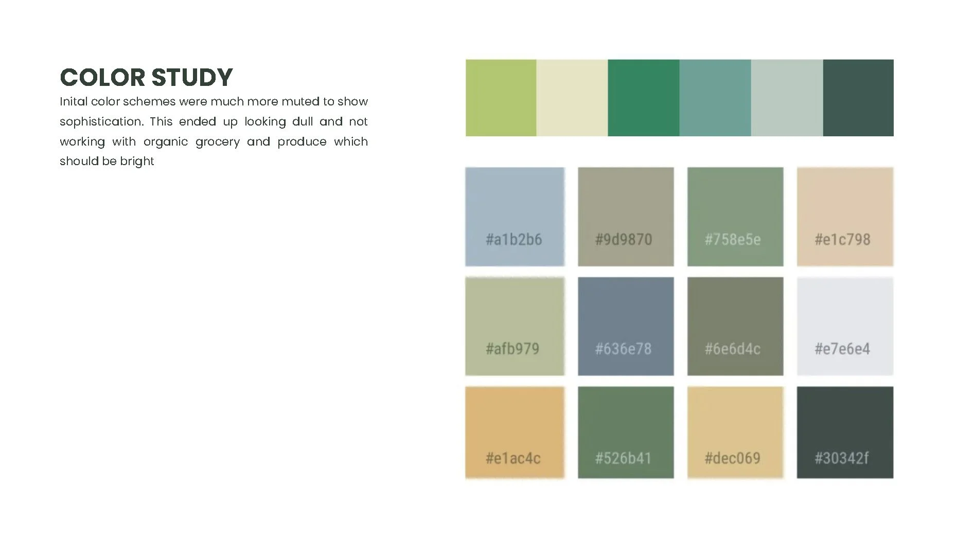 Anvi Karandikar_SPROUTSFarmersMarketRebrand_PROCESS_Page_07.jpg