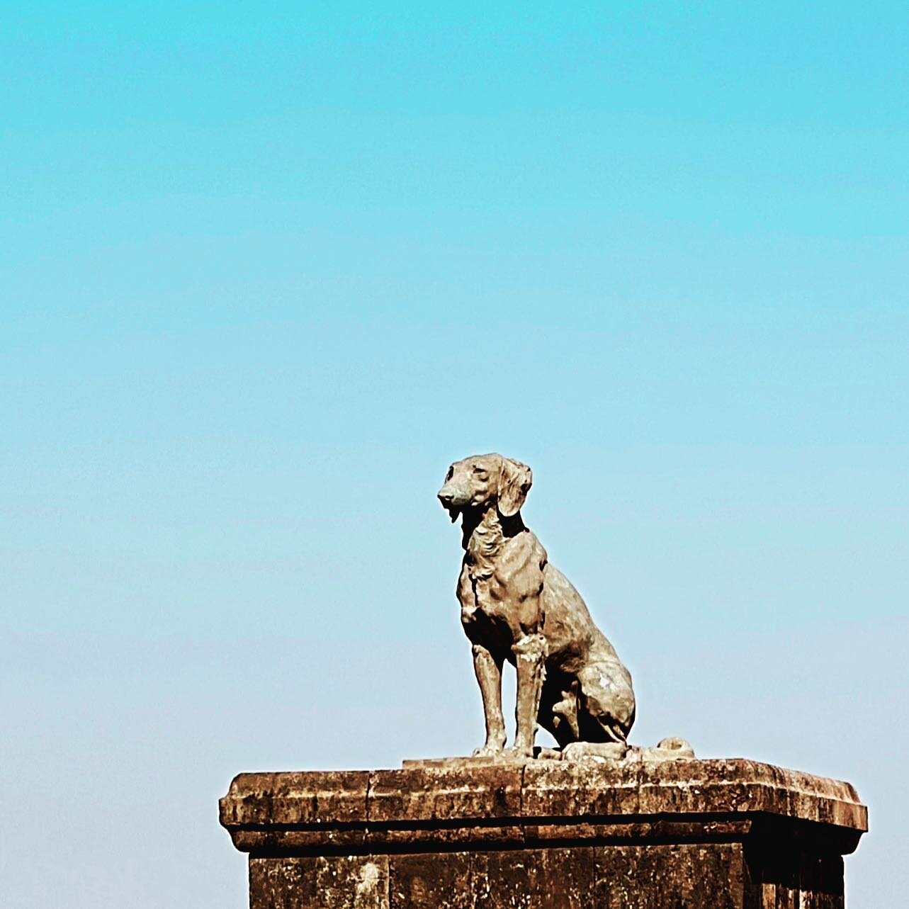 ...::WAGHYA::..
.
.
#mountains #dog #raigad #fort #travel #sky #blue #india #2023 #pictureoftheday #likeforlikes #nature #travelphotography #happy #green #mountains #solo_travel_er #shotoniphone