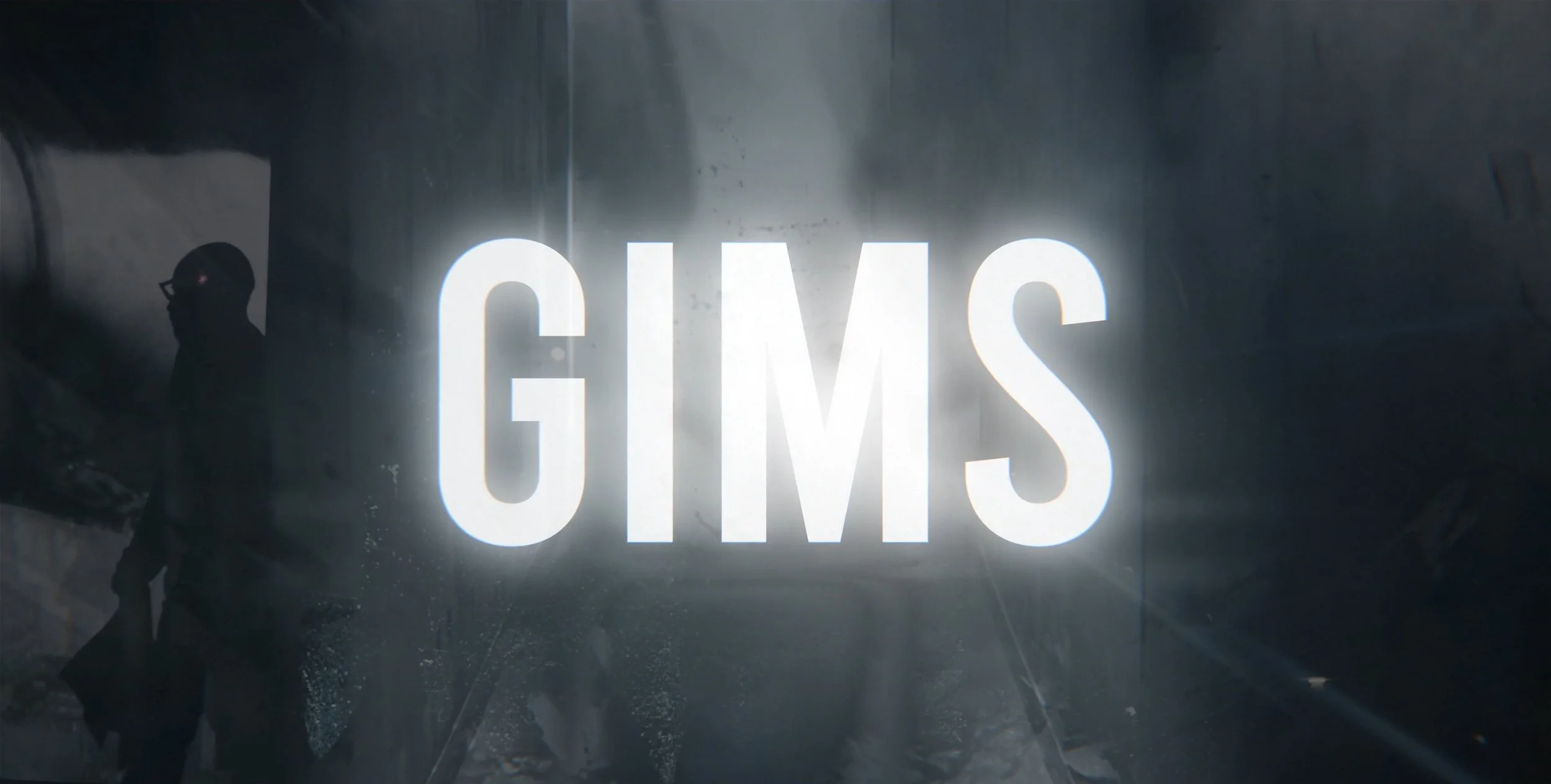 GIMS