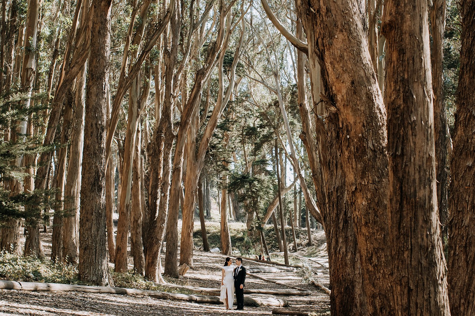  bride and groom on forest path with surrounding trees  