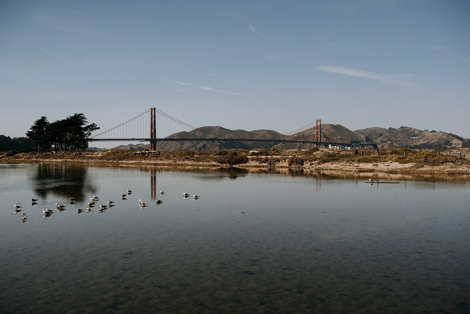  a pond across from the golden gate bridge  