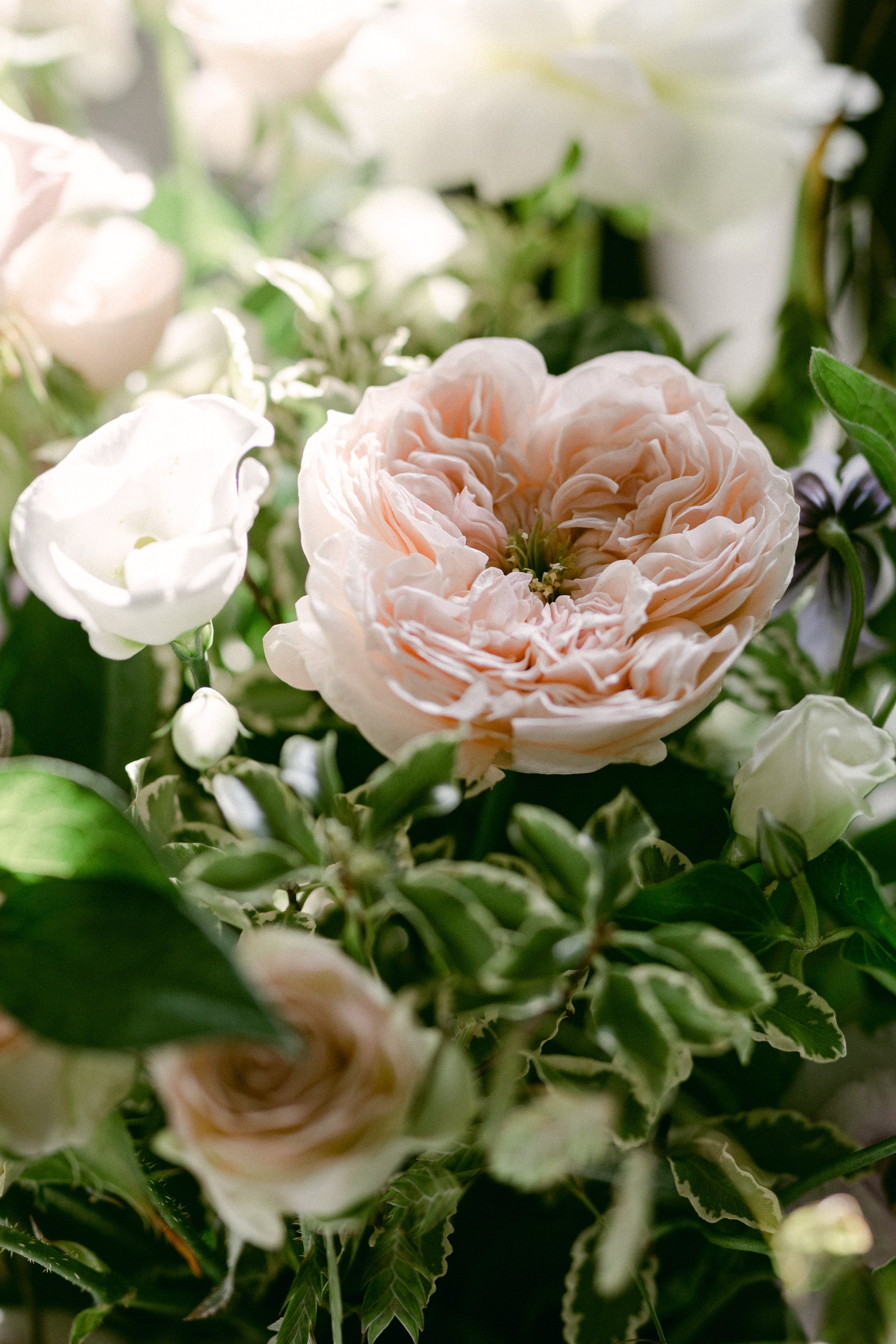 bröllop på rånäs slott-clara mortensen photography