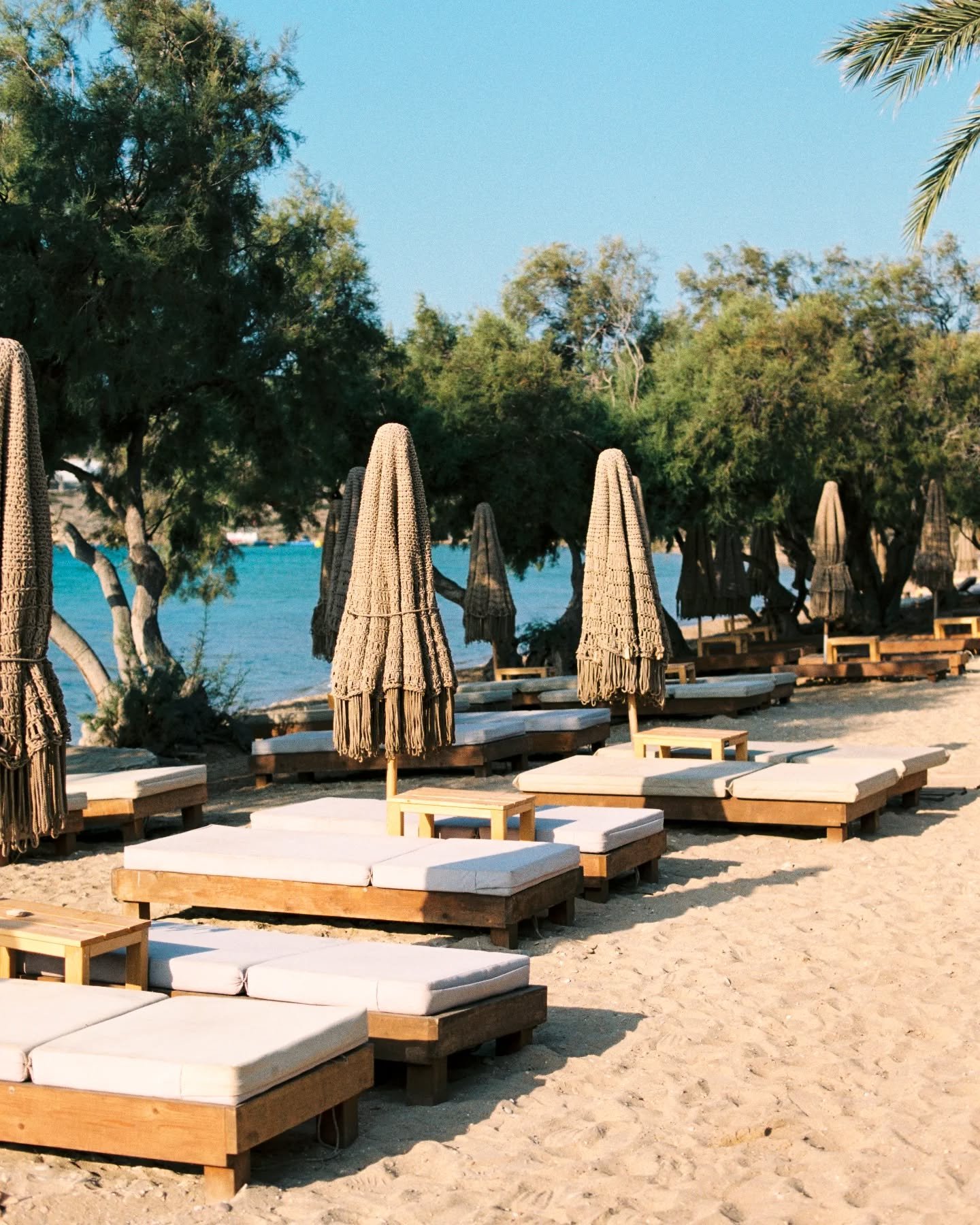 *loading rest day*

Canon EOS-1N | Gold 200

 🧪 @aperturefilmlab
📌 @fanaribeach

#gold200 #madewithkodak #canoneos1n #kodakfilm @kodakprofessional_europe @kodakprofessional