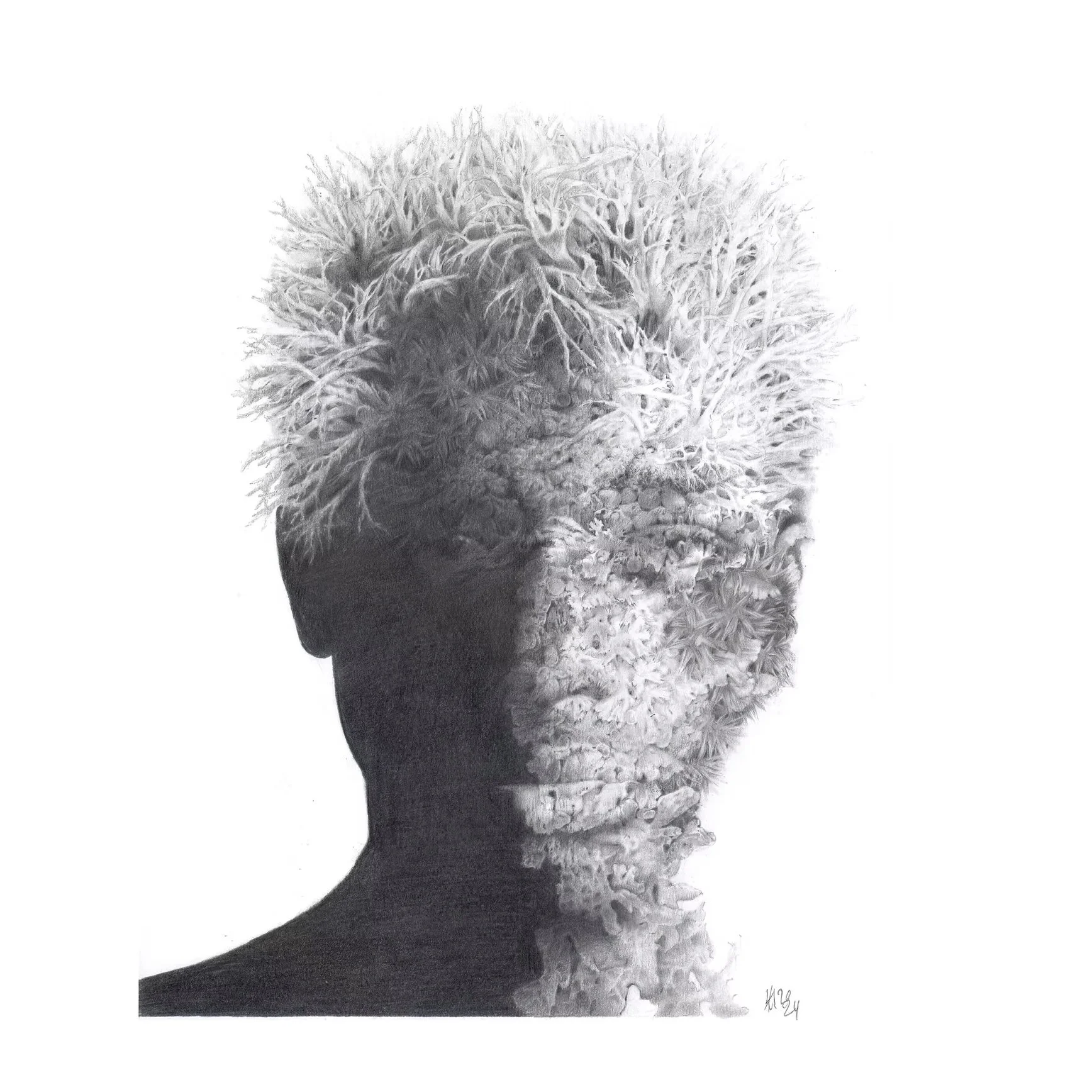 Civis terae sp.8 | Inês-Hermione Mulford