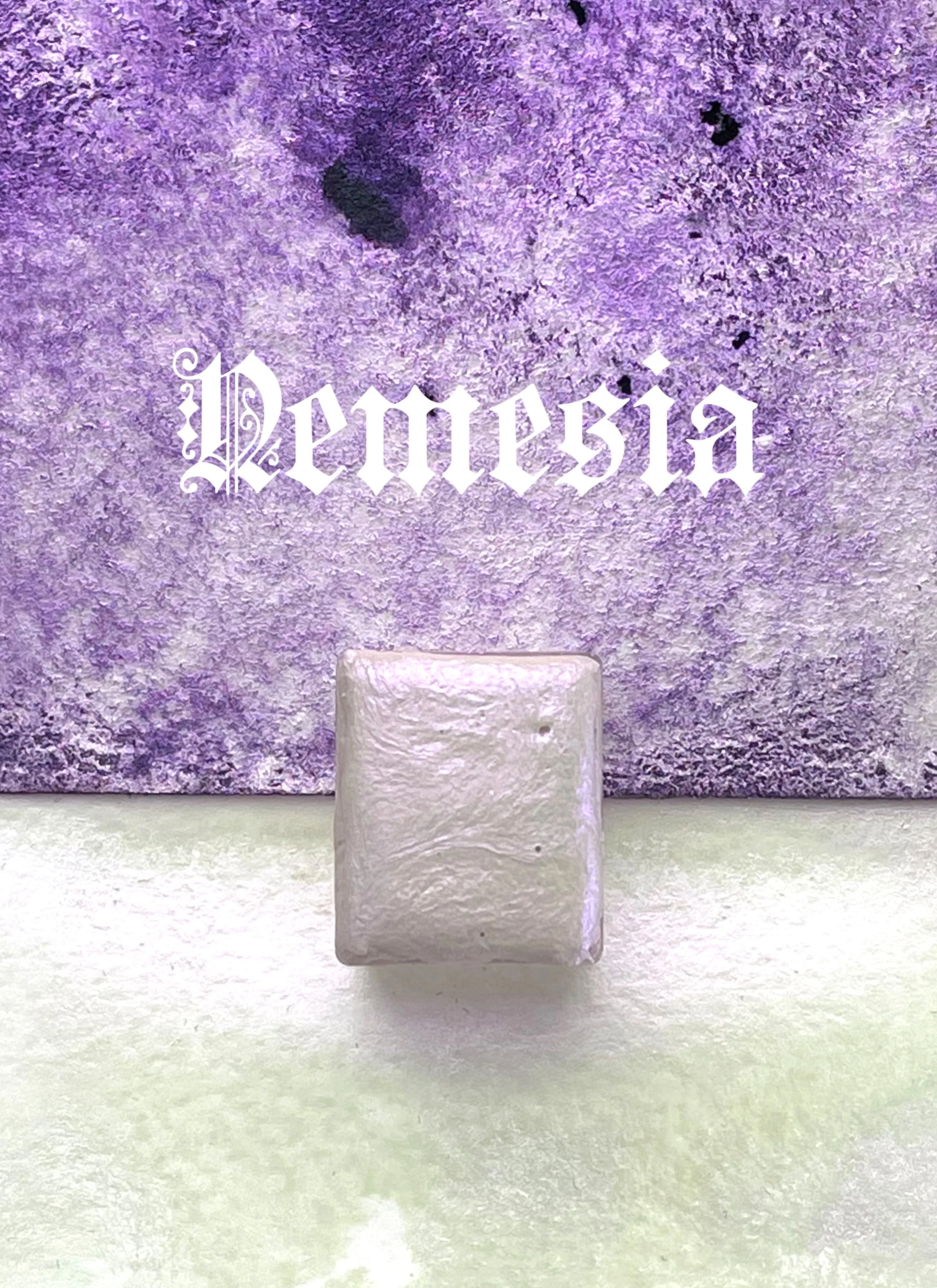 nemesia long.jpg