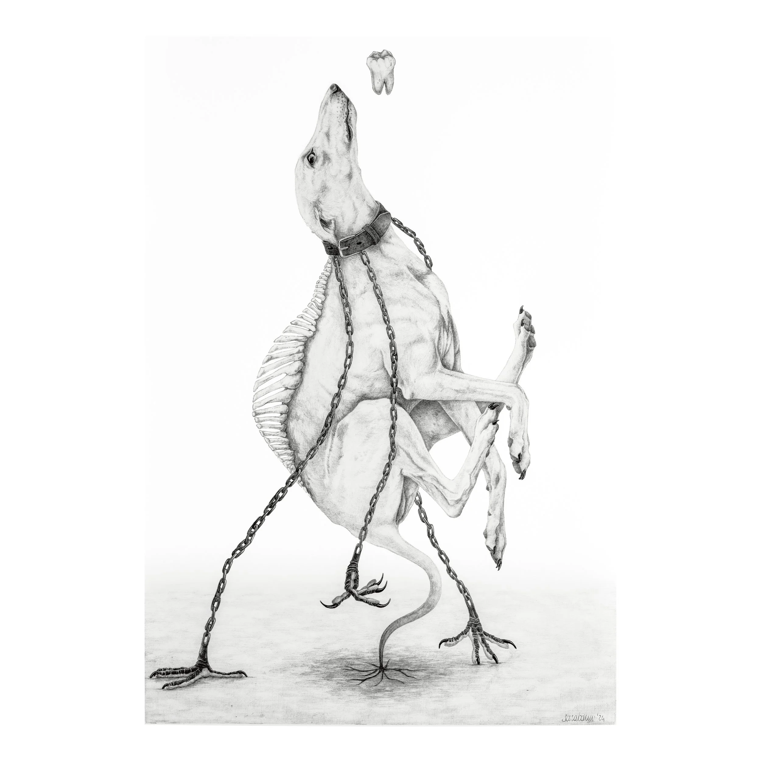 2024 - 02 - I am learning to_web.jpg