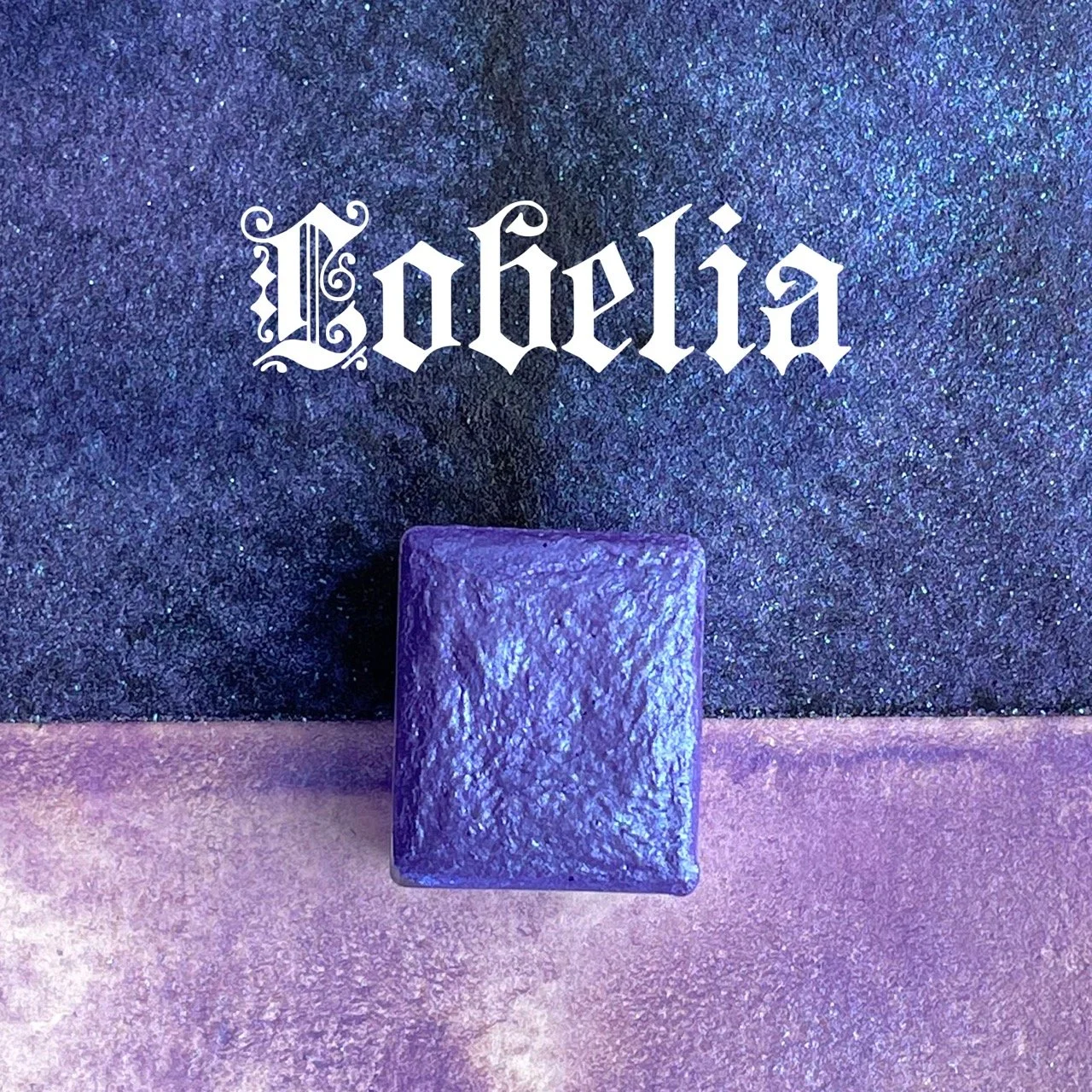 Lobelia_small.jpeg